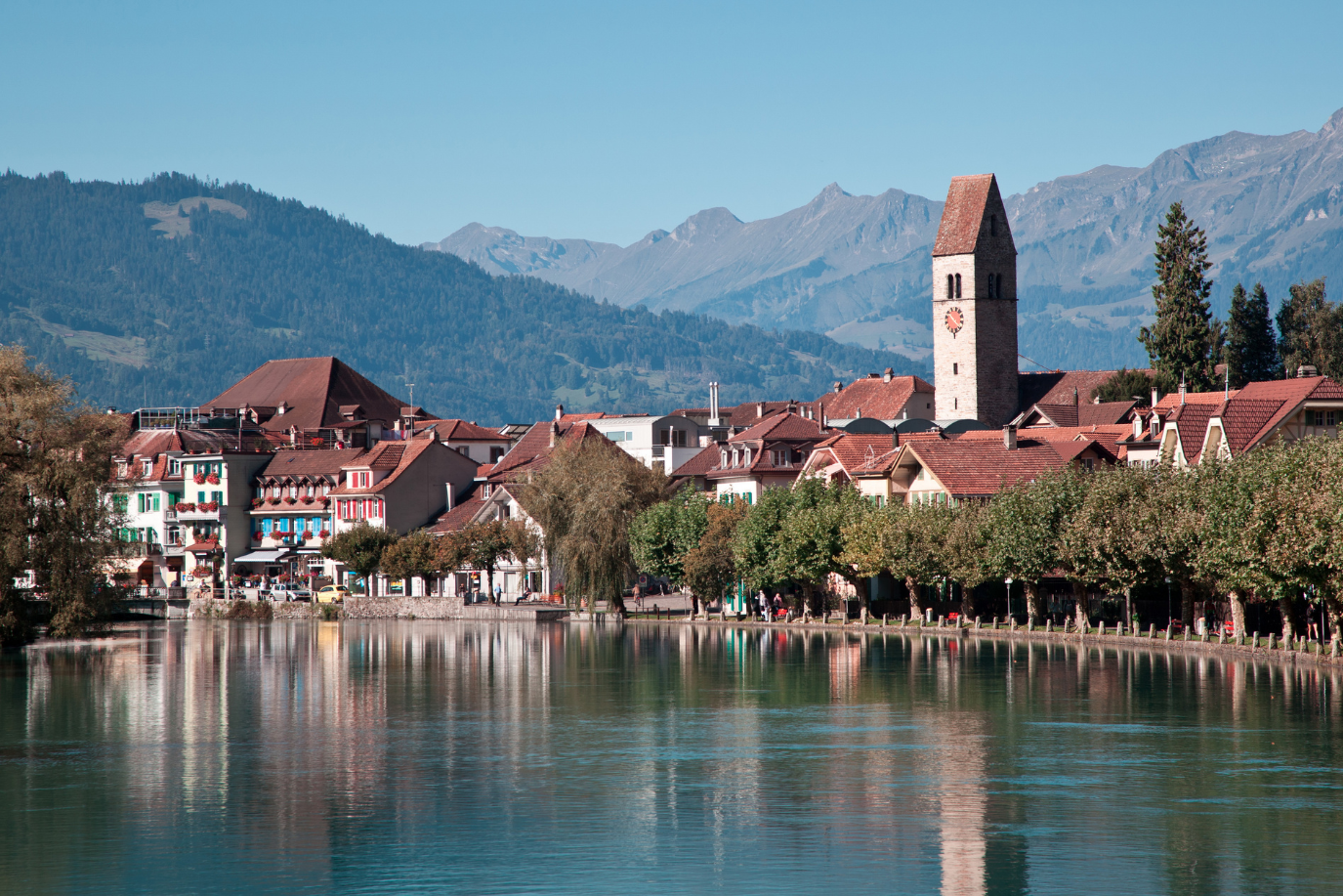 Oberland Bernese